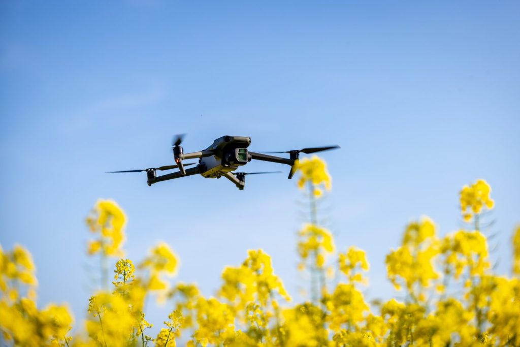 Drone Crop Survey